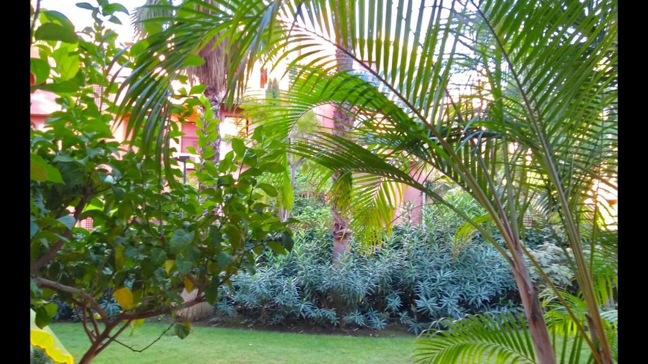 Marbella Alicate Beachfront - Luxury Apartment-2 ภายนอก รูปภาพ